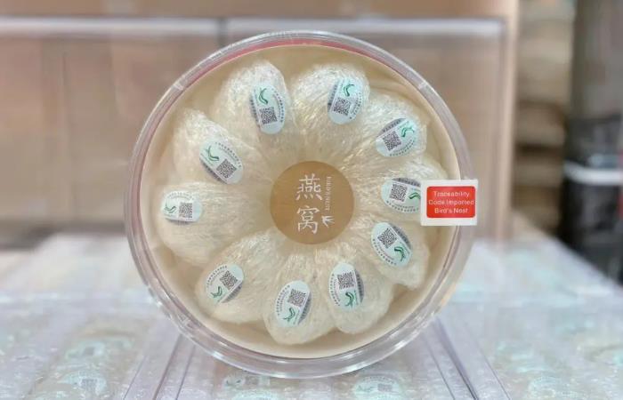 焦作市虫草回收店还行